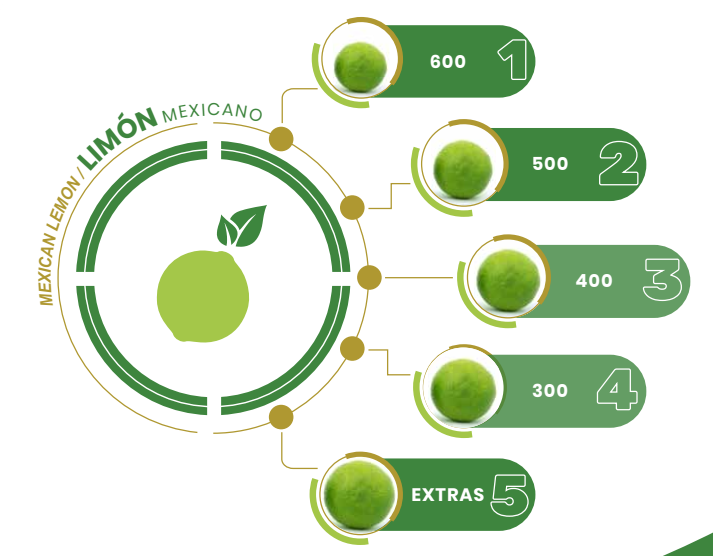 Características limón mexicano